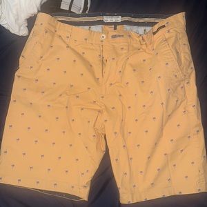 Shorts size 36